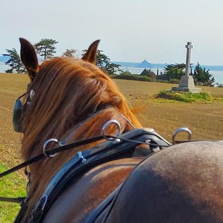 Chez Jollyjune, A Moins D'Une Heure Du Mont Saint Michel Champeaux Zewnętrze zdjęcie