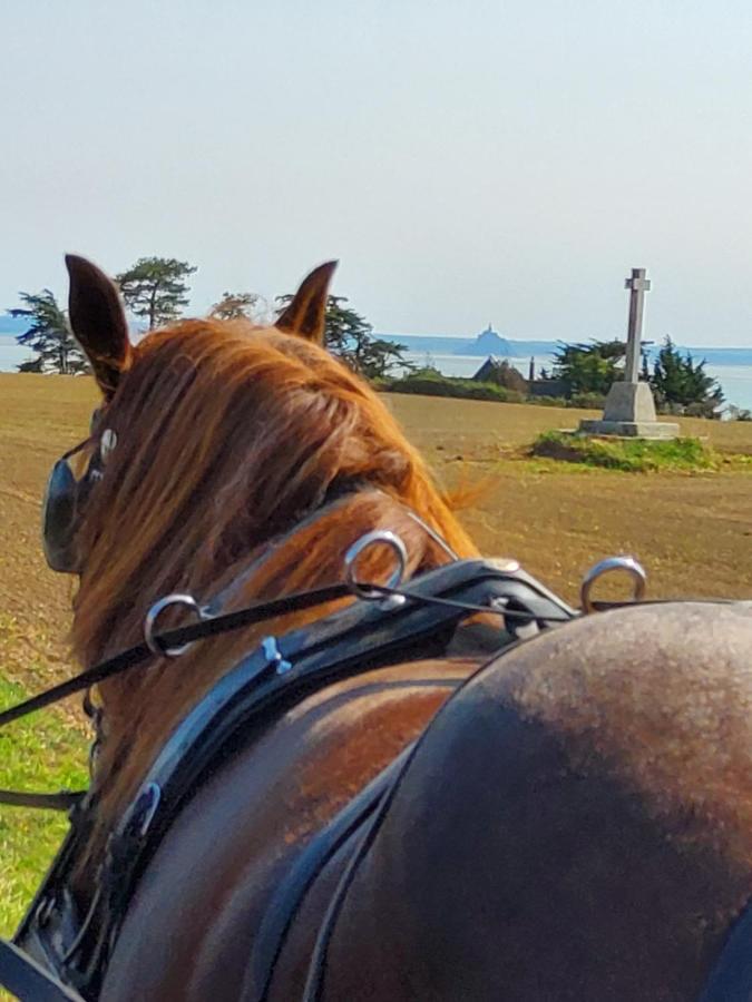 Chez Jollyjune, A Moins D'Une Heure Du Mont Saint Michel Champeaux Zewnętrze zdjęcie