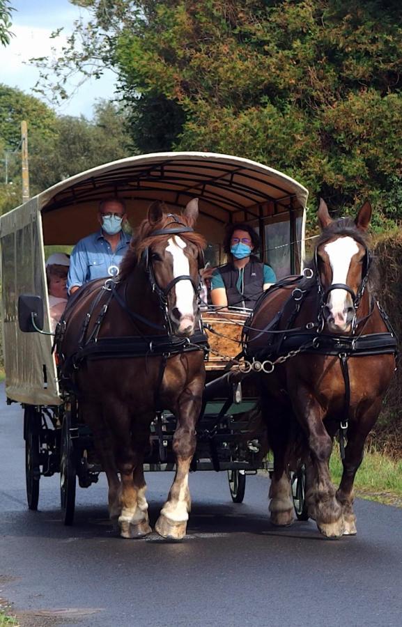Chez Jollyjune, A Moins D'Une Heure Du Mont Saint Michel Champeaux Zewnętrze zdjęcie